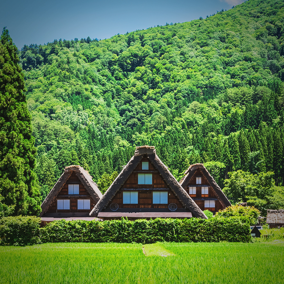 白川村・地域の経済循環を高める<br>6次産業化事業の構築 | コンサルティング