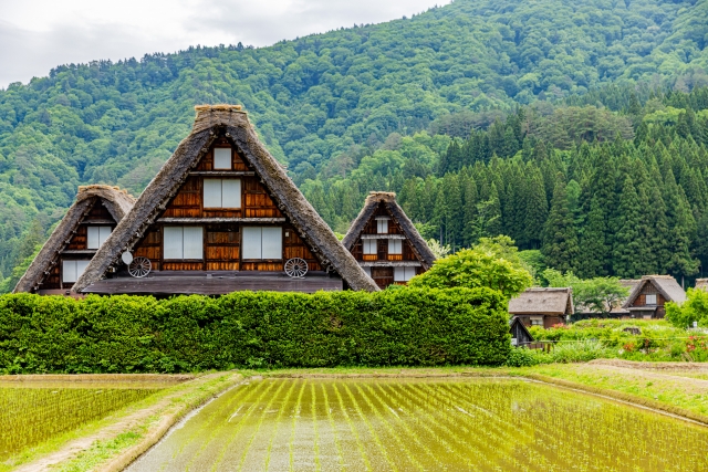 「白川村の蔵」6次産業化で村の風景を守る酒蔵開発 | その他