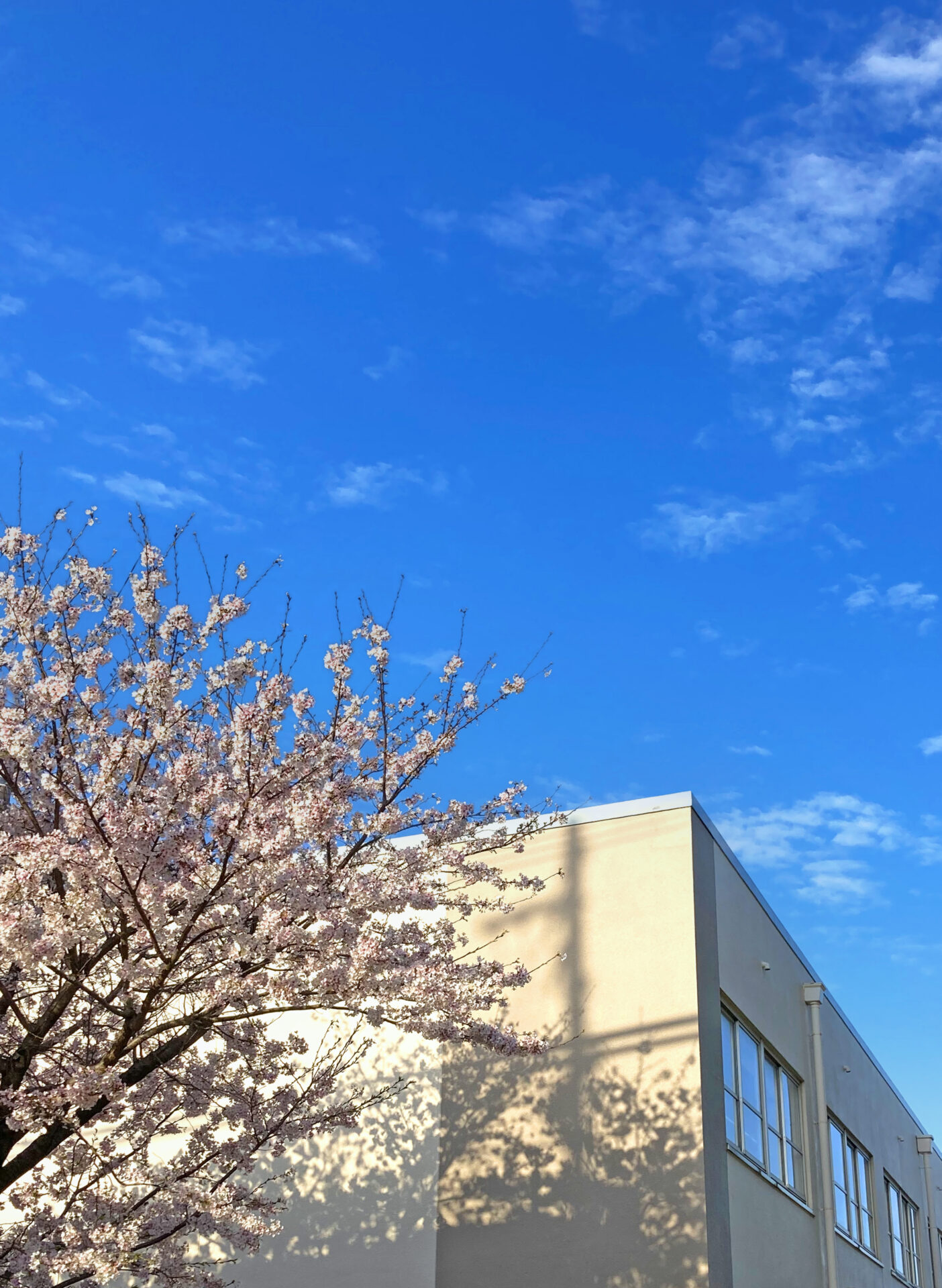 物品寄附による高校教育への企業参画 | 企業版ふるさと納税